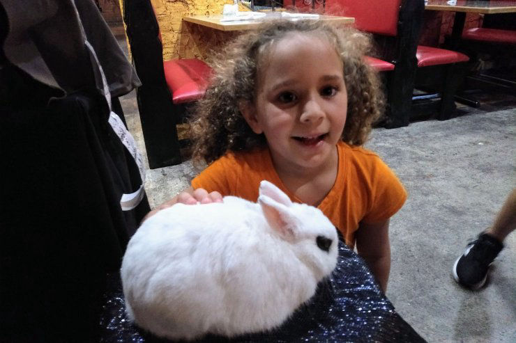 Rufus the Magic Rabbit with curly haired smiling girl